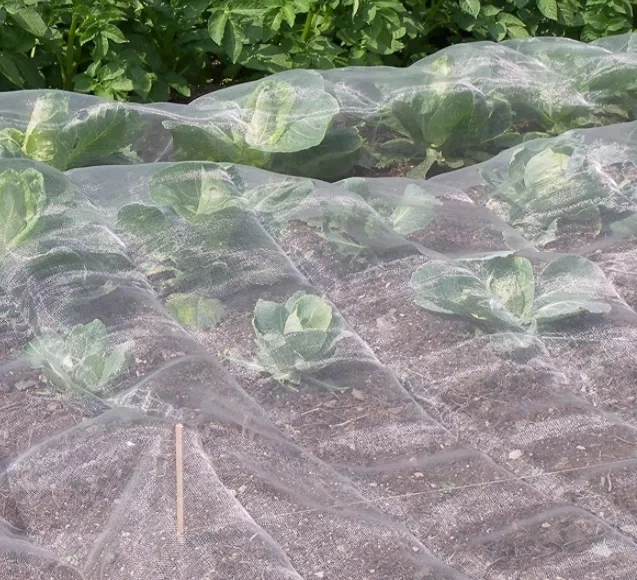 HDPE Insect Repellent Net/Plastic Anti Aphid Net/Greenhouse Insect Proof Net for Agriculture