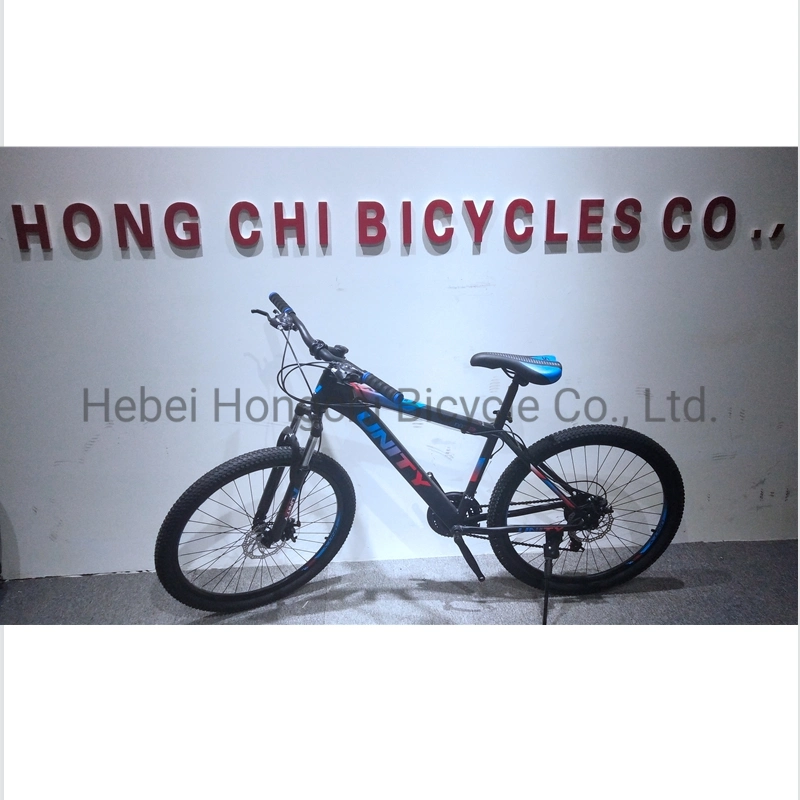 Quick Shipping Carbon Bike 29 Inch CE Certificate MTB Bike