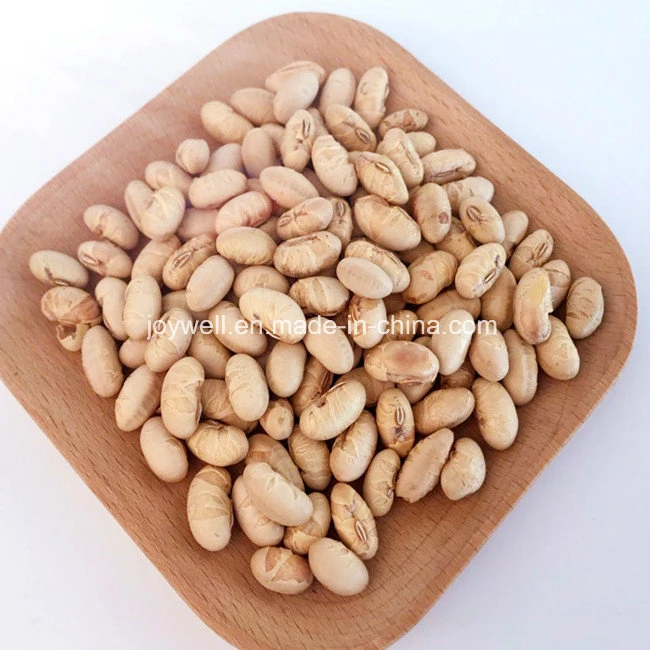 No Coloring Salted Roasted Soybean Healthy Snacks