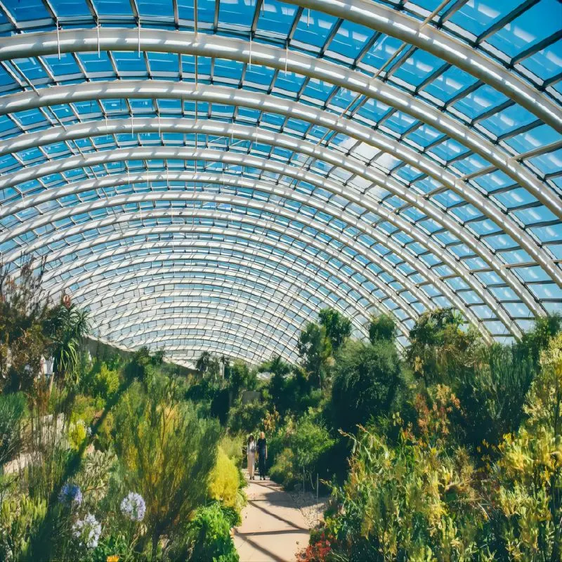 Estructura de acero galvanizado de efecto invernadero agrícola cubierta de vidrio/vegetales hidropónicos el cultivo del tomate