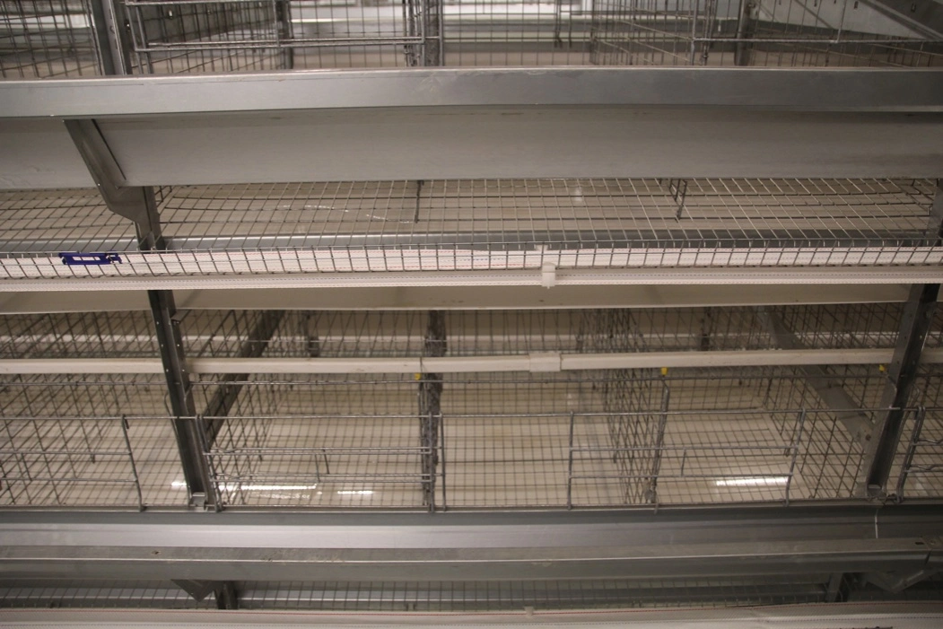 Aluminum-Zinc Coating Automatic Battery Cage System