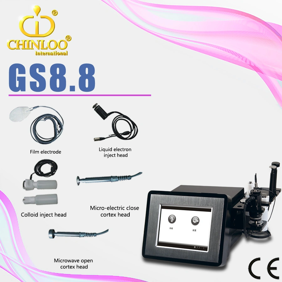 Portable Needle Free Mesotherapy Beauty Equipment for Skin Whiten and Body Slimming (GS8.8)