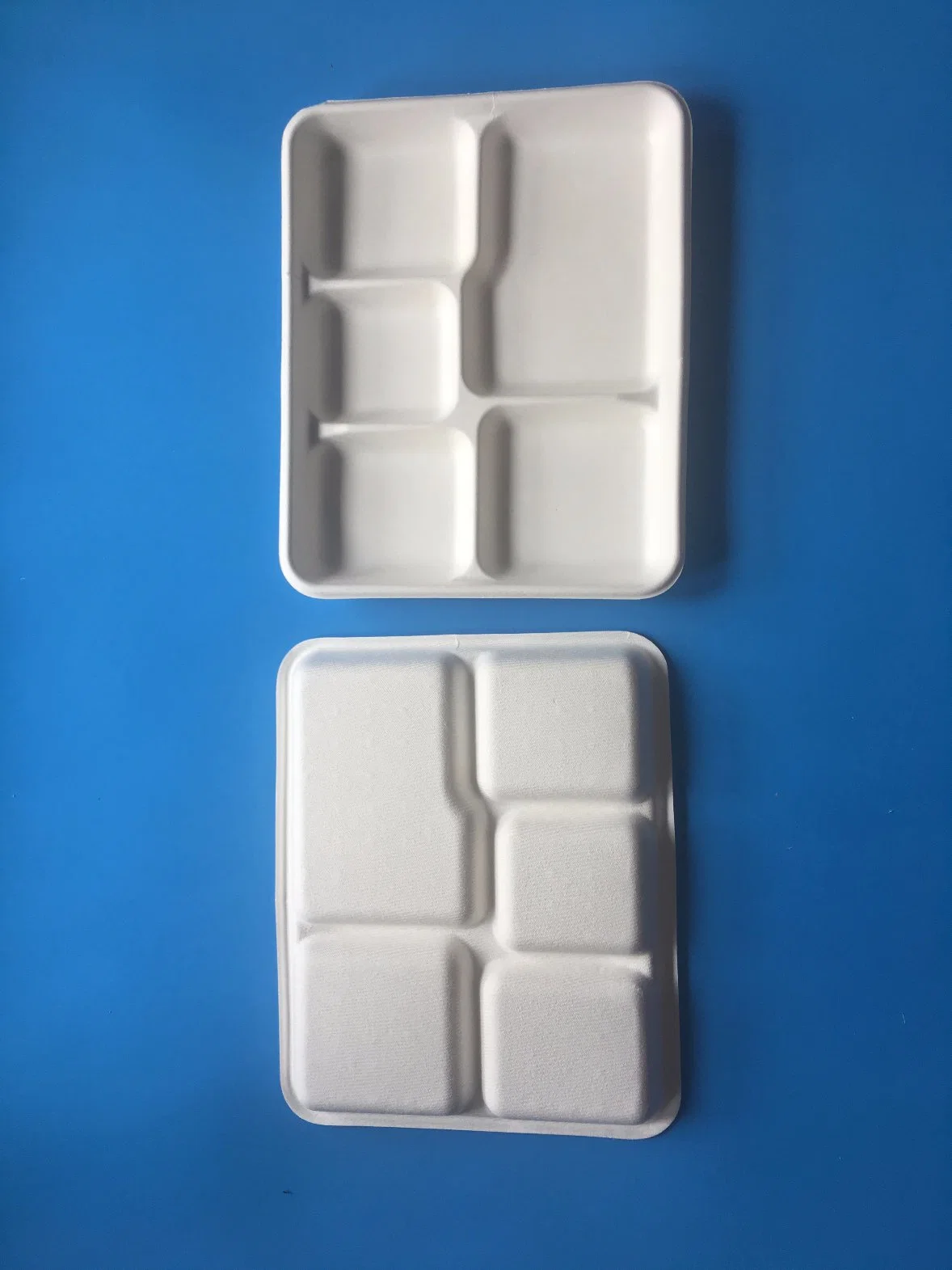 Disposable Biodegradable Bagasse Pulp Paper Food Packaging Plate 5 Cells Manufactury Sell