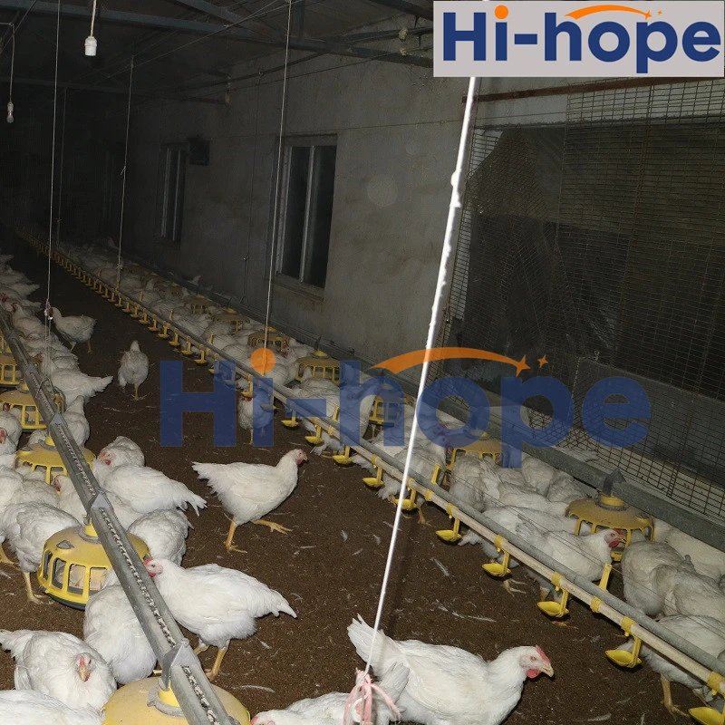 Hi-Hope Nipple Automatic Chicken Farm Drinking System