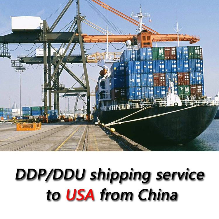 Sea Shipping Company From China to Mexico Freight Forwarder