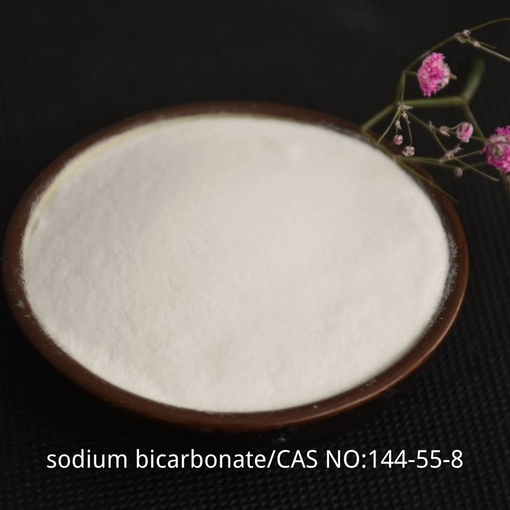 99% Min White Powder CAS 144-55-8 Sodium Bicarbonate for Industry & Food