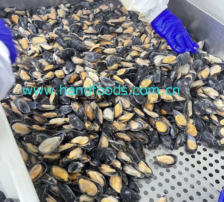 Good Quality Seafood of Frozen Cooked Half Shell Blue Mussel for People's Healthy 100% Natural