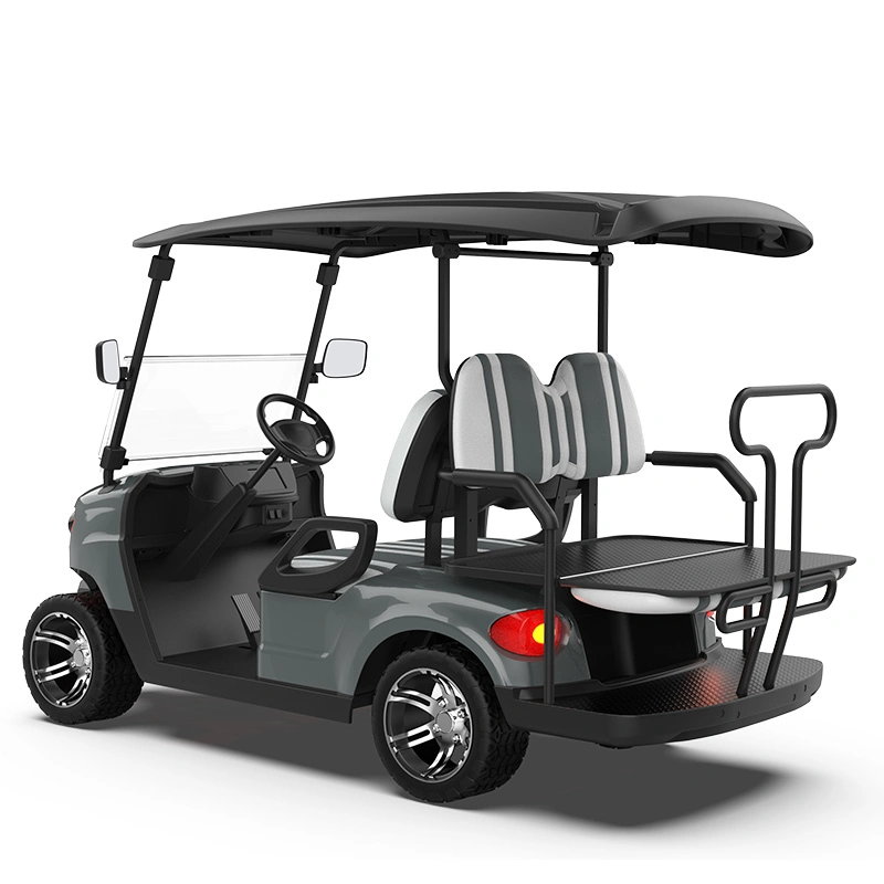 CE Approved Buggy/Golf Kinghike Packed and Loaded by Container Beach Cart Golf Carts for Sale