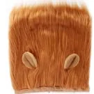 Hot Sale Festival Party Brown Lion Mane Hair Wig Pet Dog Costume