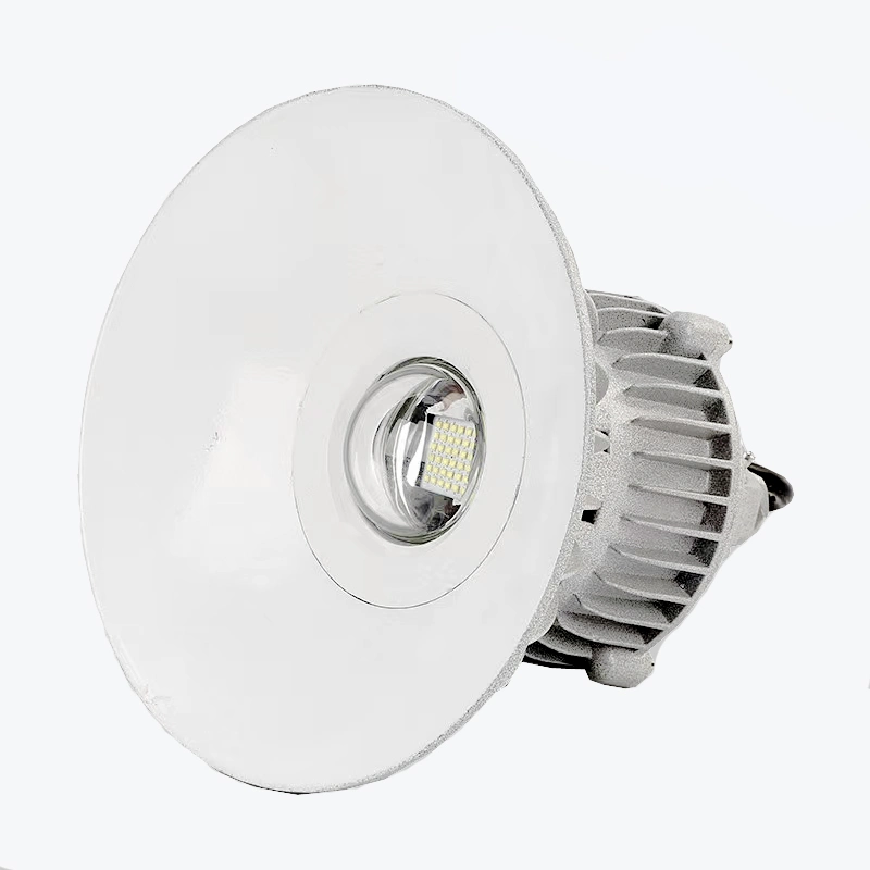 Explosion Proof LED Light Within Lampshade