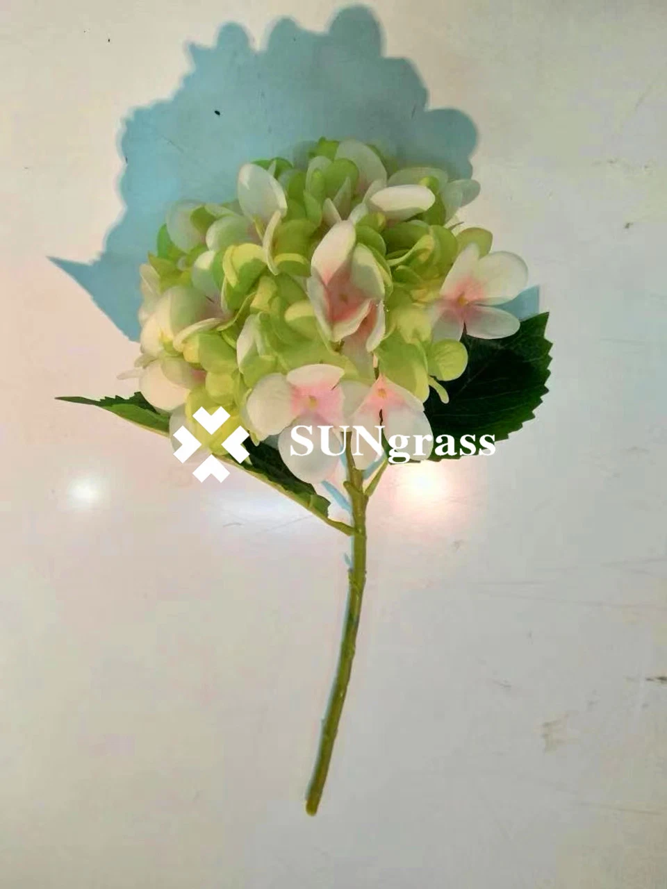 Hot Selling Preserved Hydrangea Long Stem Orange Red White Pink Wedding Decoration Artificial Flower