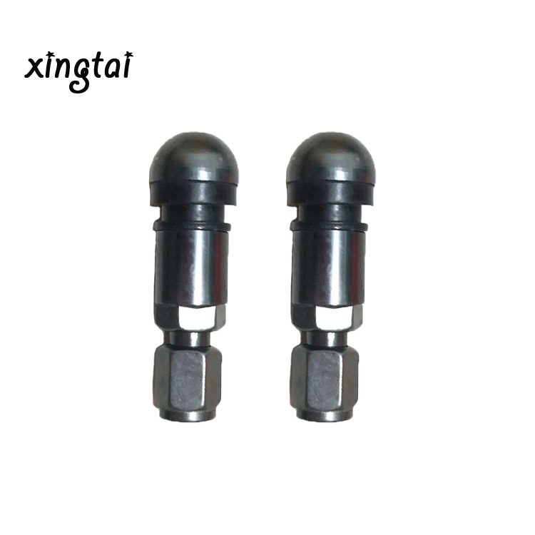 Hot Selling Metal Valve Vacuum Tire Use Nozzles Tire Valves