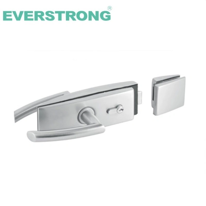 Stainless Steel Commercial Office Sliding Tempered Aluminum Central Glass Door Handle Lock