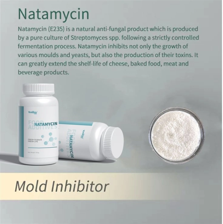 Preservativo natural protege queijos de Mold e fungos Natamycin