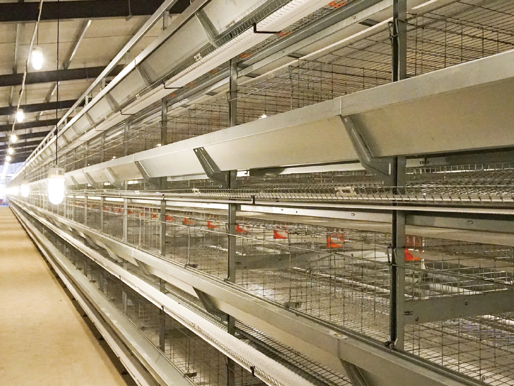 Poultry Farm Layer Cages/Poultry Farm Chicken Cage