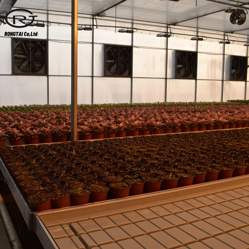 Greenhouse Seedbed Ebb and Flow Tray Hydroponics Movable Rolling Bench System Planting Table