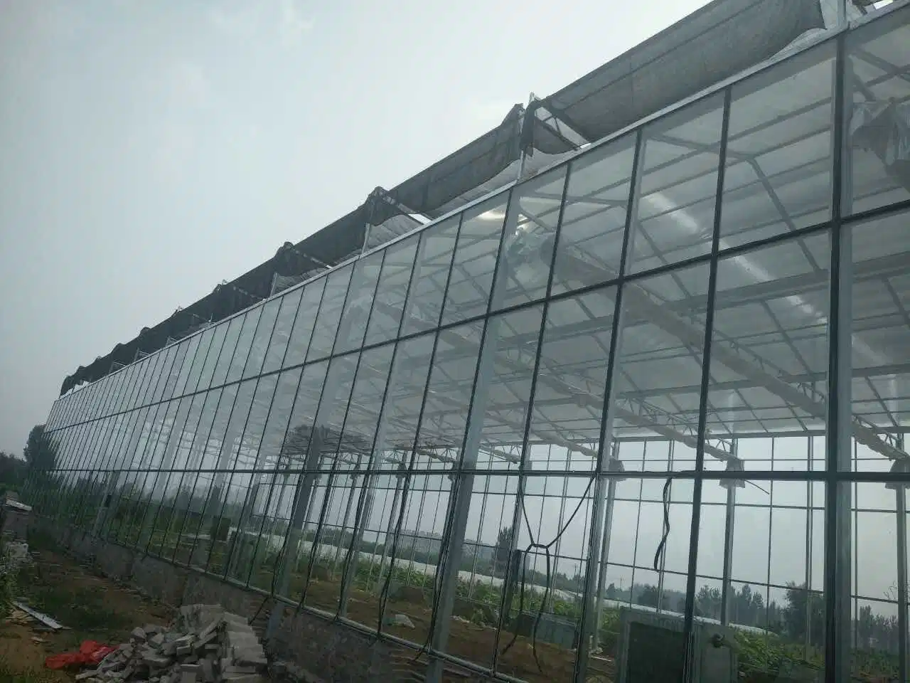 Smart Multi-Span túnel/Arch tipo PE/Po Film cristal de la agricultura comercial/ Ecogical gases de efecto para el tomate y pepino/fresa con Hidroponía sistemas de cultivo