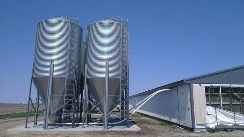 Feed Tower/Silo Livestock Feeding Equipment Silo Feeding Silo