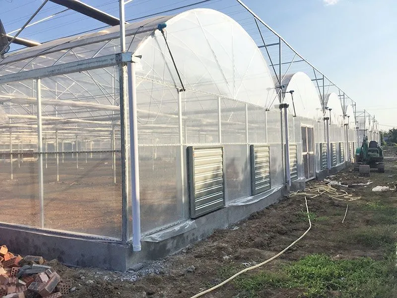 Landwirtschaftliche Gewächshäuser Mehrspan Gewächshäuser für Microgreens Growing System