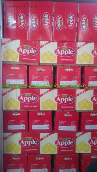 Fresh Chinese Apple Red Organic Planting Natural Color Weight Origin Type FUJI Variety Size Export Grade Product Fruit