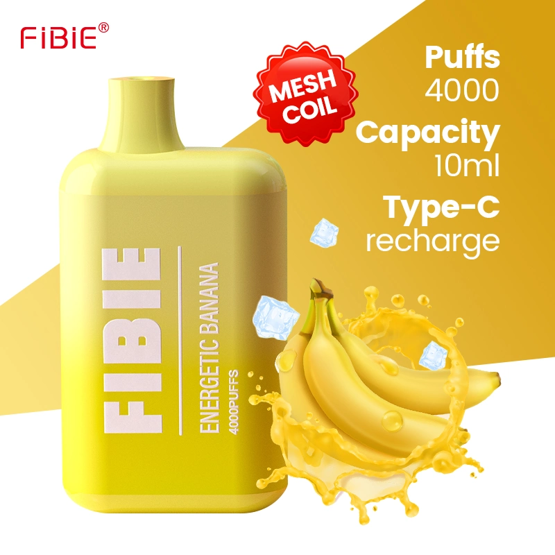 Wholesale/Supplier Electronic Cigarette Fibie 4000 Puff Vaper Mini Rechargeable Lost E Cig Mary Germany Best Price Wape Shisha Randm Disposable/Chargeable Pen Vape