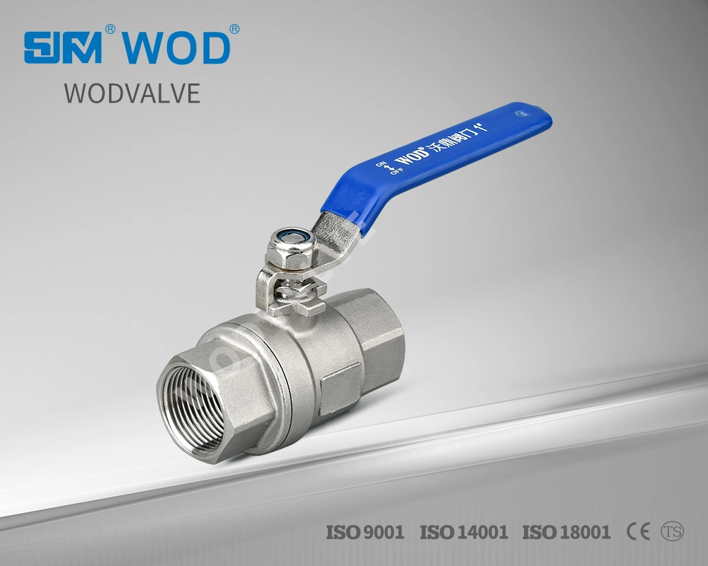 Dn100 2PC Stainless Steel 304 DIN3203-M3 Industrial Valve