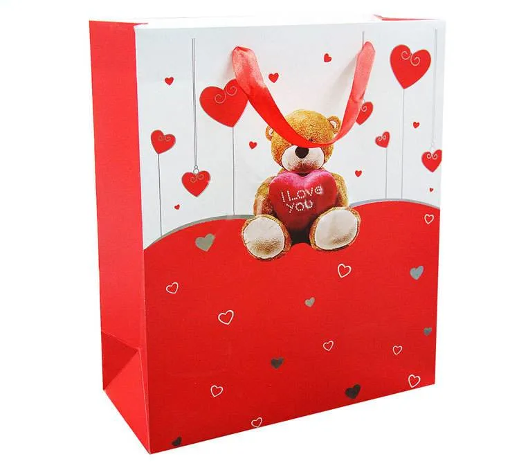 Top Quality Custom Paper Gift Bags/Promotional Bags (FLP-8926)