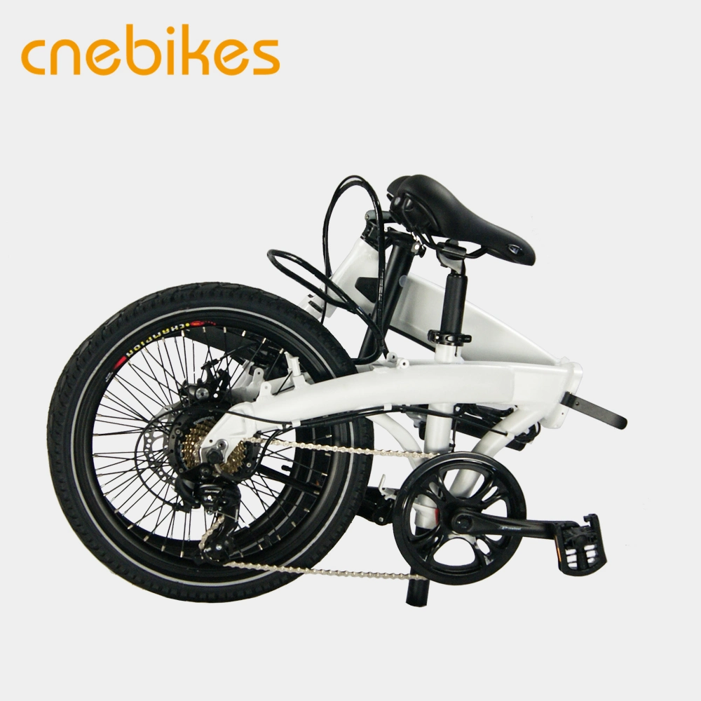 20 Inch 250W Power Mini Electric Folding Bikes