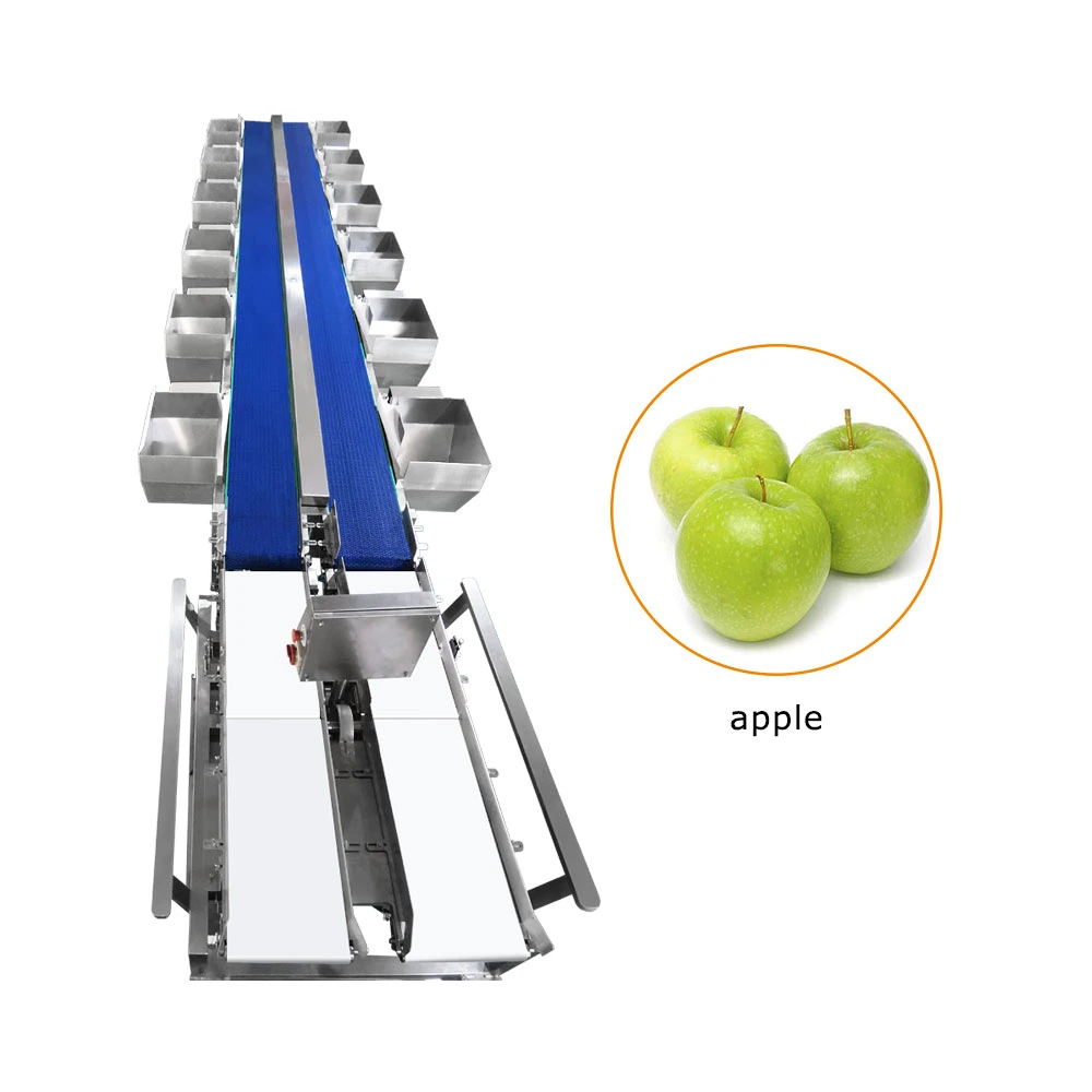 Tt-Wsm-02 Automatic Fruit Sort Machine Auto Industrial Fruits Weight Sorting Line