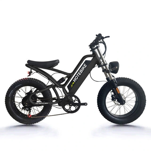 Aluminum Alloy 7/9/21 Speed with Derailleur Electirc Dirt Biike Electric Fat Tire Bike