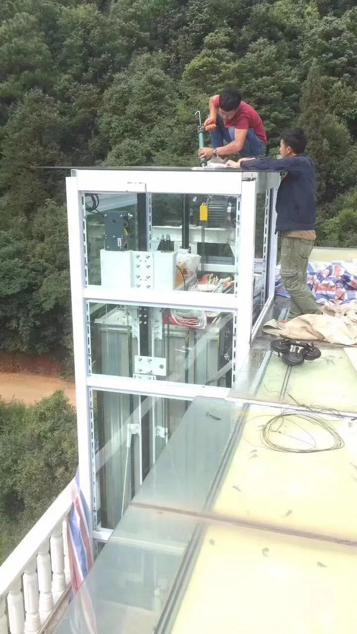 Visite panoramique de l'usine fabricant ascenseur Accueil Villa passager de levage avec un bon prix