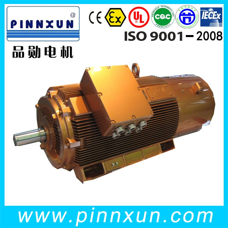 Y2 Series High Voltage Motor 1000rpm 6.6kv 500kw Motor