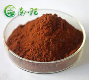 Factory Supply Cinnamon Powder Bark Extract for Strengthening Immune Function