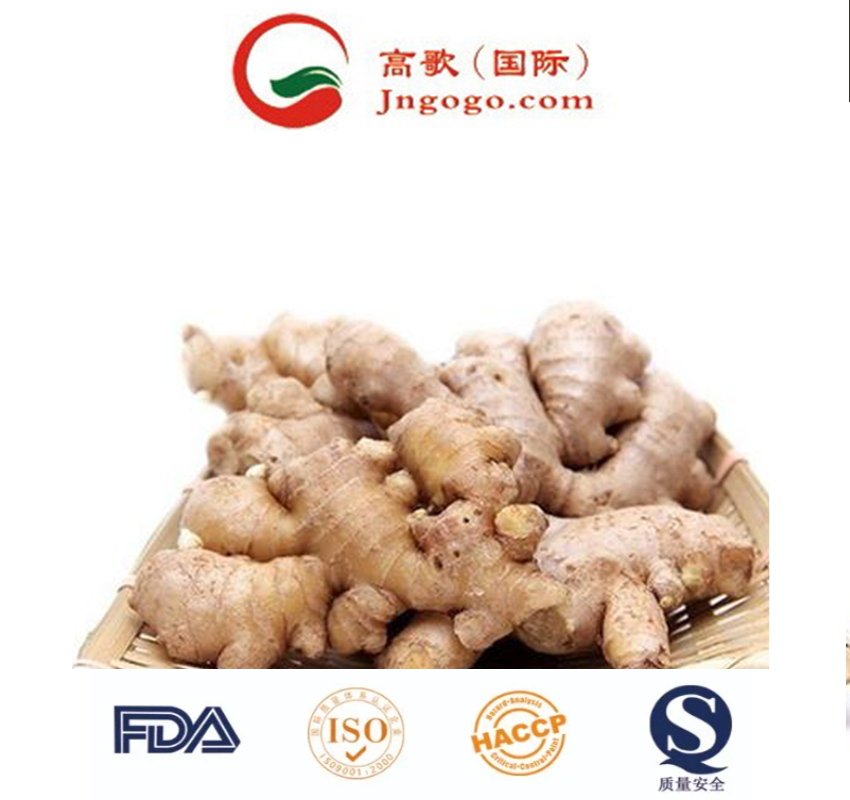 Shandong Province's Finest Dry Ginger - Gogo Brand