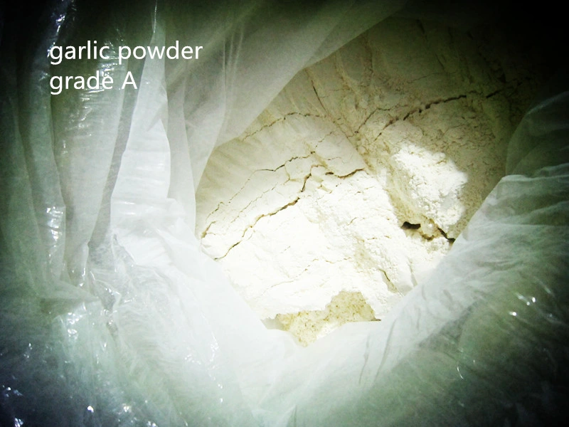 E&sime; Porter of 80-100mesh Garli&simg; Powder