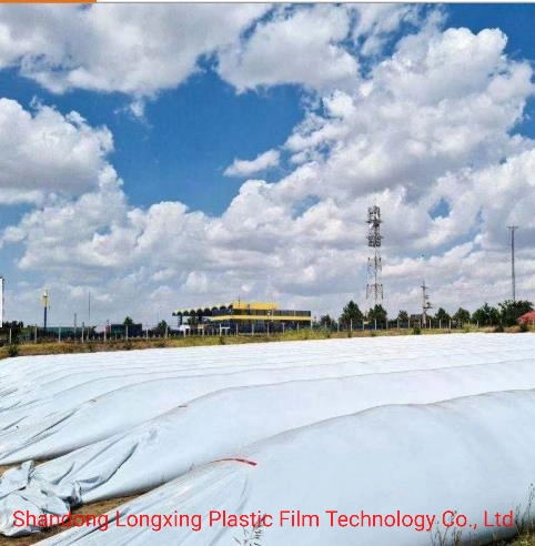 Sac de silo en plastique pour céréales en PE de la ferme chinoise pour une utilisation flexible Stockage