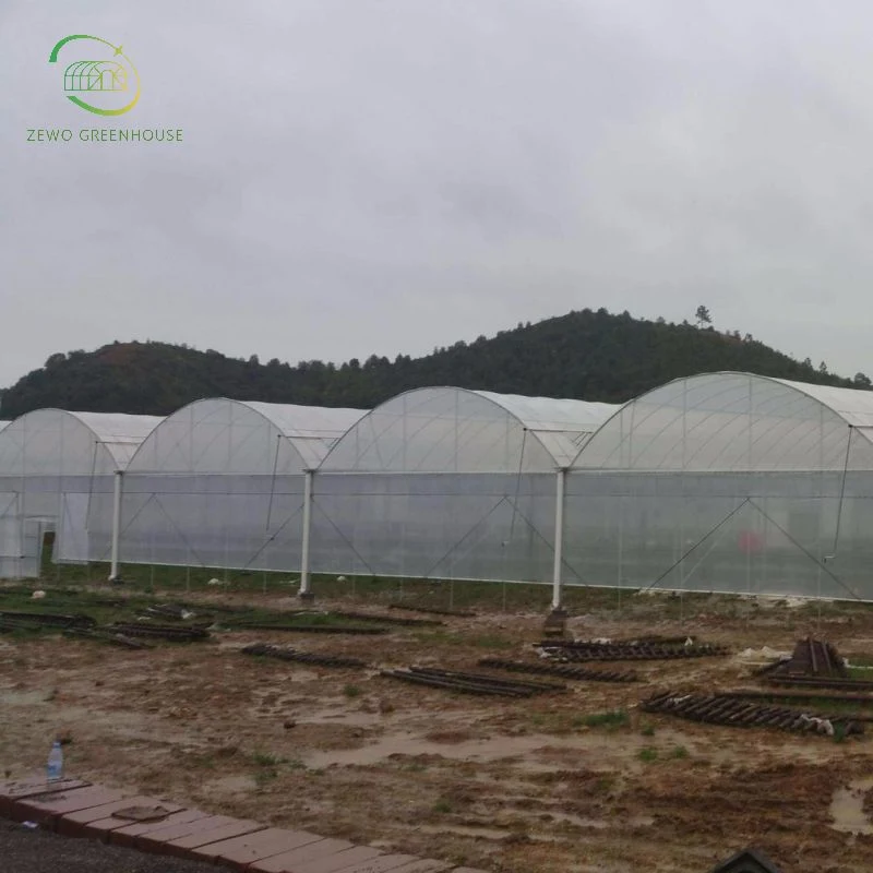 High quality/High cost performance  Low Cost Multi Span Plastic Film Greenhouse with Garden Water Sprayer with Pump