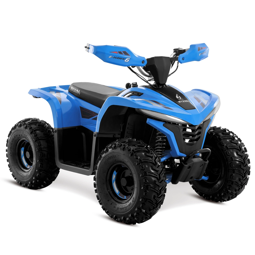 48V 1600W 4 Wheeler Quad Bike Electric ATV for Kids