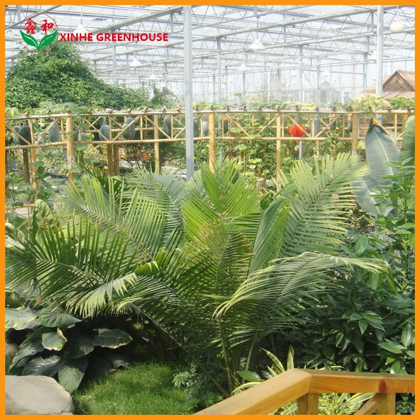 Tempered Glass 12m Span Multi-Span Garden Fruits Conservatory Flower House Greenhouse