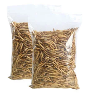 Dry Breadworms Dry Mealworms Live Breadworms Live Mealworms Feed