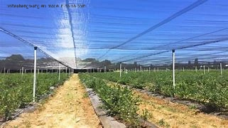 Wholesale/Suppliergarden Netting, Ultra Fine Garden Mesh Netting Greenhouse Protection Net, Reusable Plant Covers for Protect Vegetables Fruits Plant Flower Crop Screen