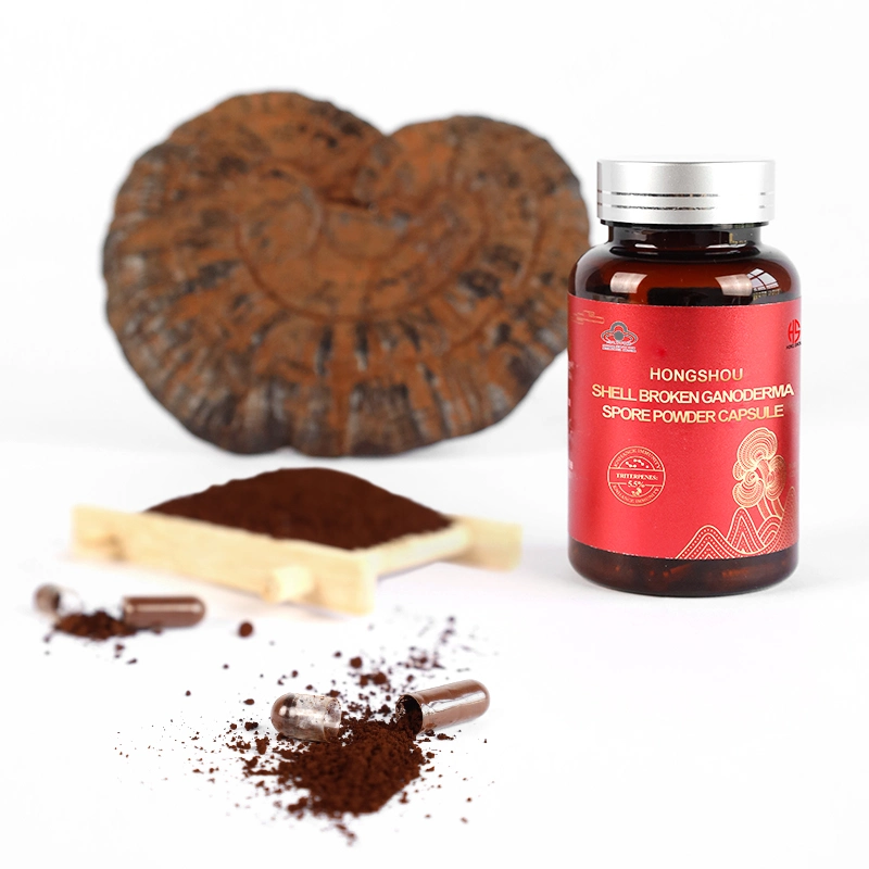 Healthcare Supplement Reishi Mushroom Ganoderma Lucidum Spore Powder Capsules