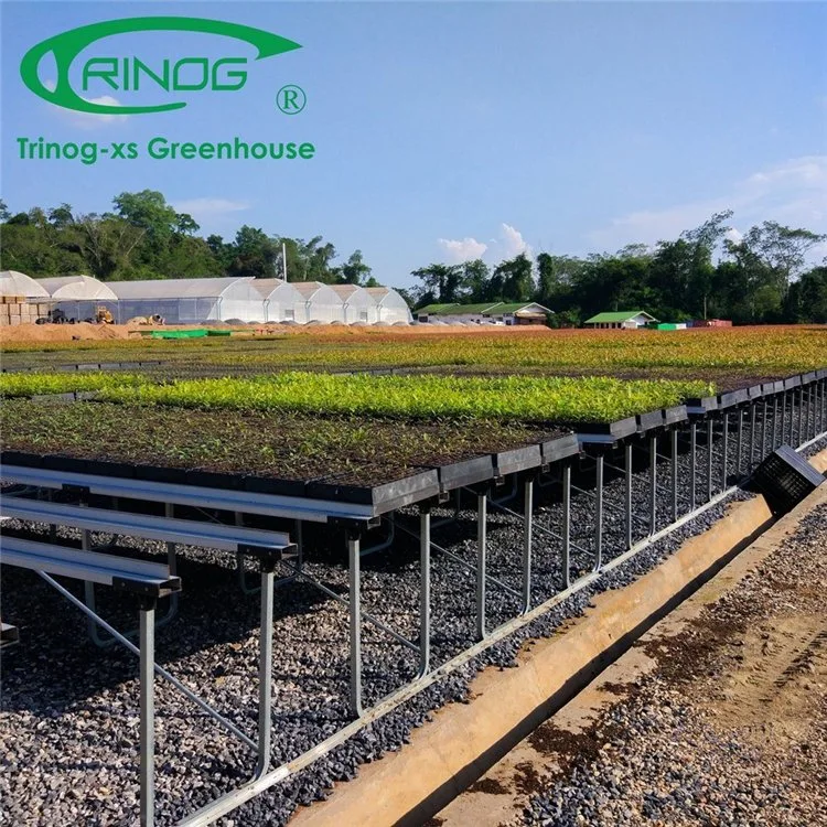 Commercial Big Size Galvanized Steel Pipe Agricultural Multi-Span Cultivation Hydroponics System Film Greenhouse for Flower/Vegetable