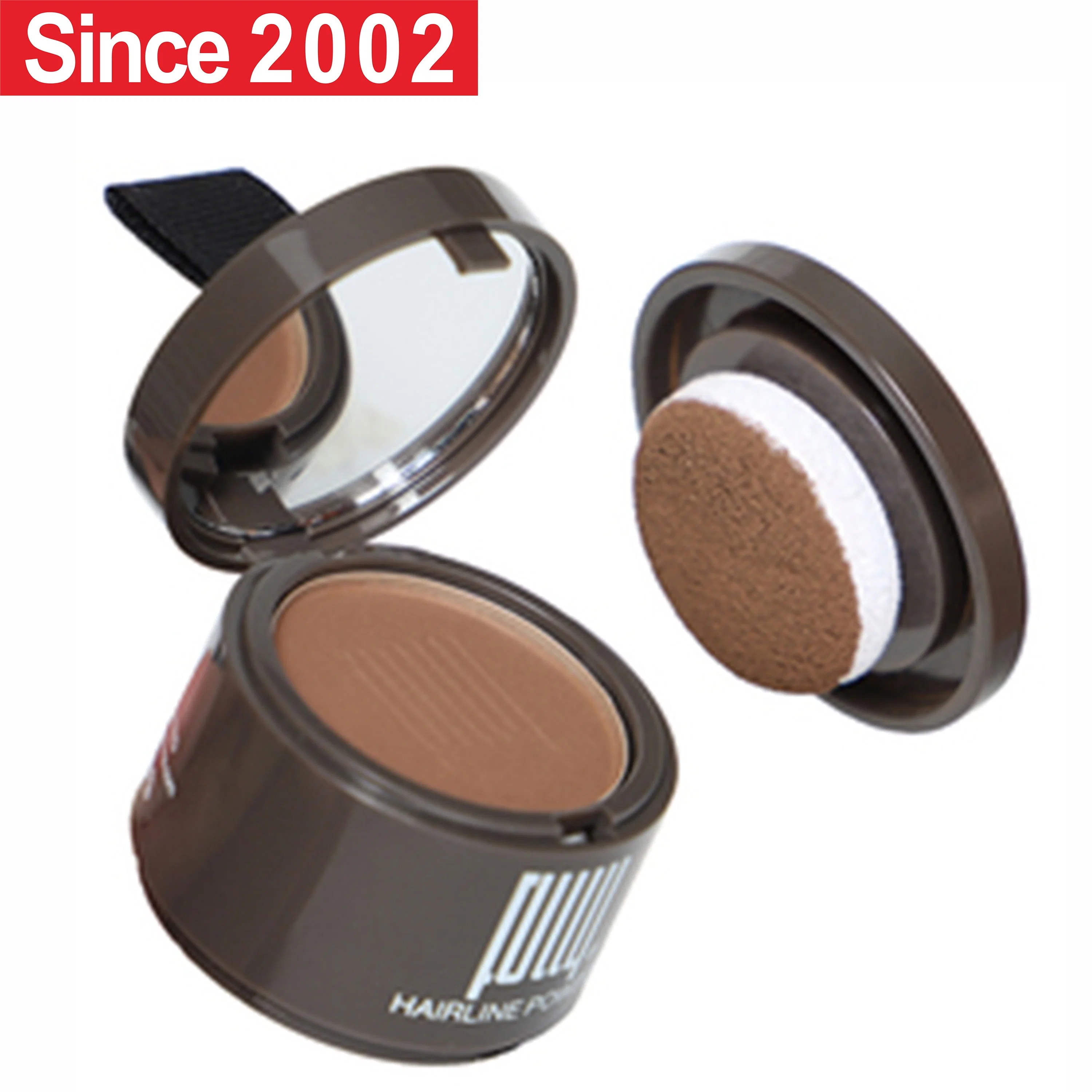 Factory Wholesale/Supplier Price Professional OEM ODM Fully Hairline Powder Hair Loss Concealer for Thinning Hair