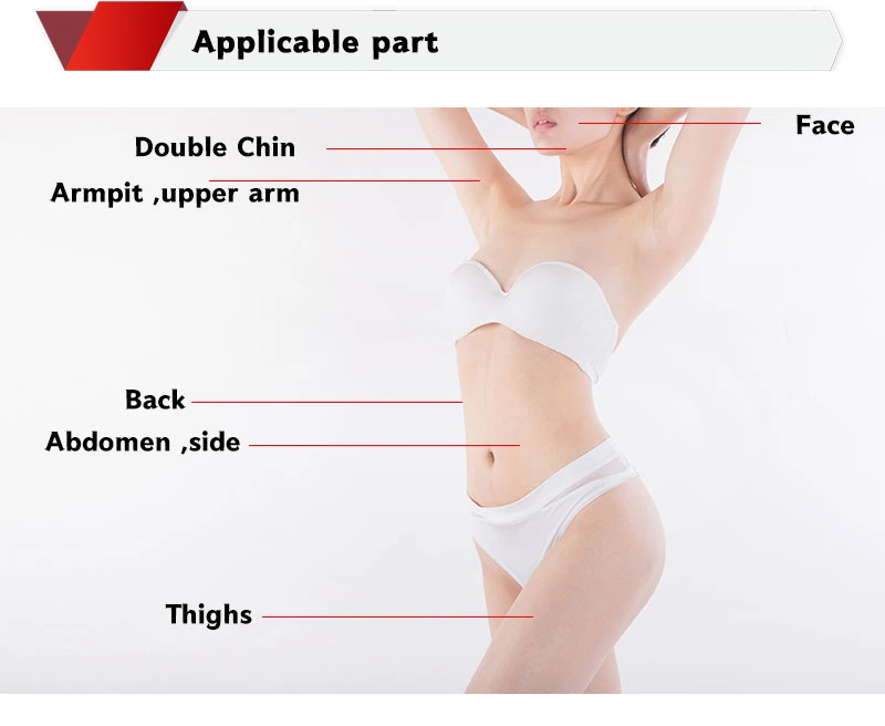 Wholesale/Supplier Price Lipo Lab Lipase Soulution Slimming Body