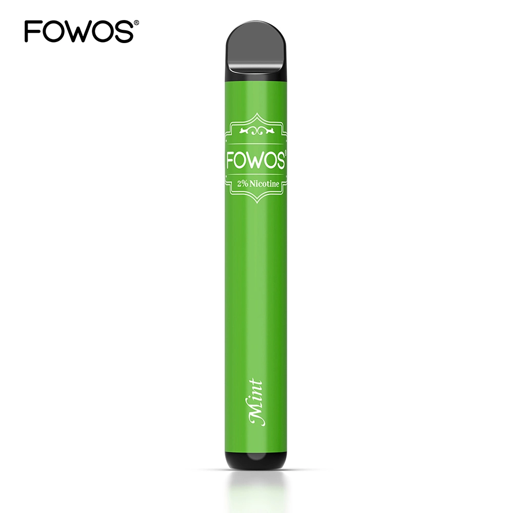 Million Sales in Europe Disposable/Chargeable Vape 600 Puffs Pen Style vape 2ml Tpd Approved Ecig