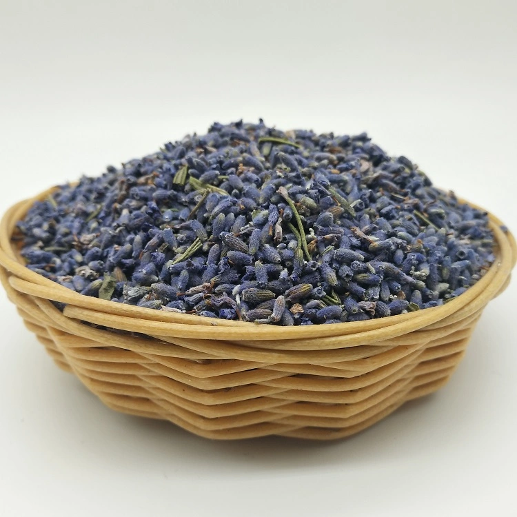 Xun Yi Cao Nueva base de hierbas té de Flor seca Premium capullos de lavanda