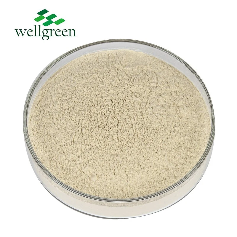 CAS 9072-19-9 Fucoxanthin Natural Fucus vesiculosus Gagome algas en polvo Extracto de Algas Fucoidan