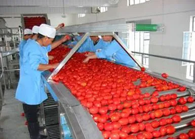 Pasta de tomate en conserva de calidad superior