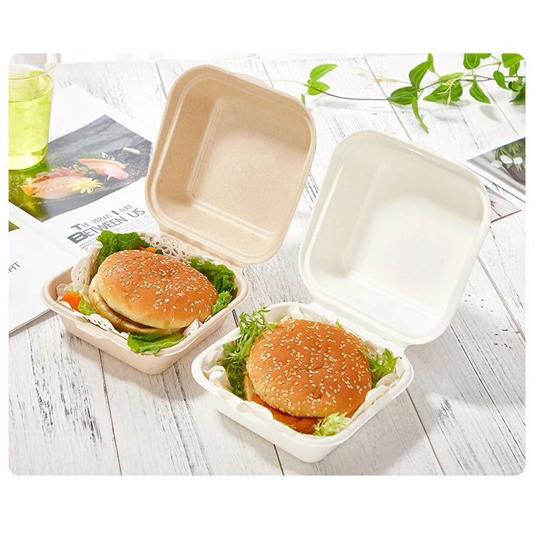 Benne écologique des récipients alimentaires [6X6 "PFA libre] Les conteneurs à emporter- biodégradable compostable jetable